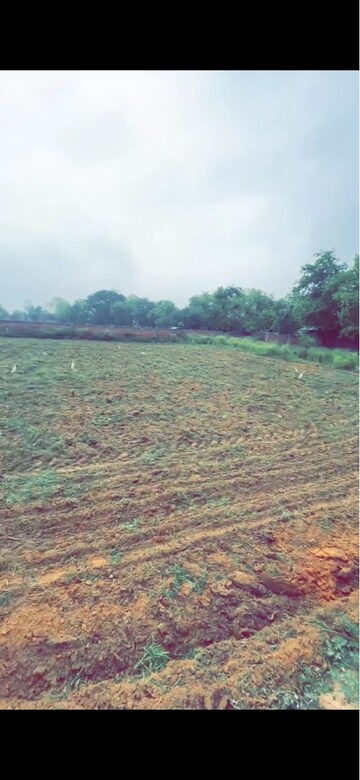  Plot For Sale in Tigaon