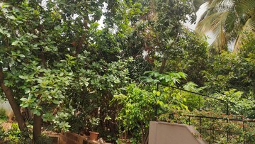  Plot – Garden View at Kalyan Nagar - for Sale