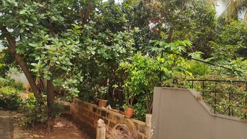 Plot Area in  Plot at Kalyan Nagar – for Sale