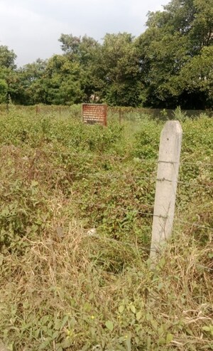  Plot For Sale in Hinjewadi