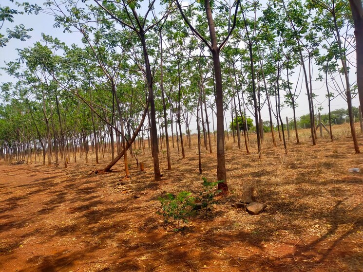 undefined, shankarpalli  605 Sq.Yd. Plot In Shankarpalli Hyderabad 8901178