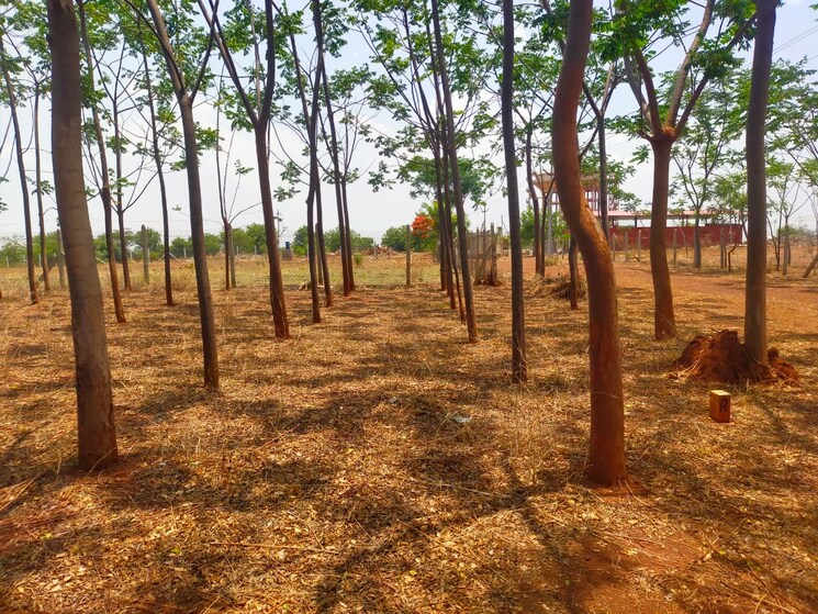 undefined, shankarpalli  605 Sq.Yd. Plot In Shankarpalli Hyderabad 8901178