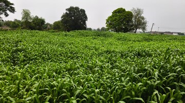  Plot – Garden View at Sushant Lok I - for Sale