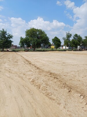  Plot For Sale in Bhopani