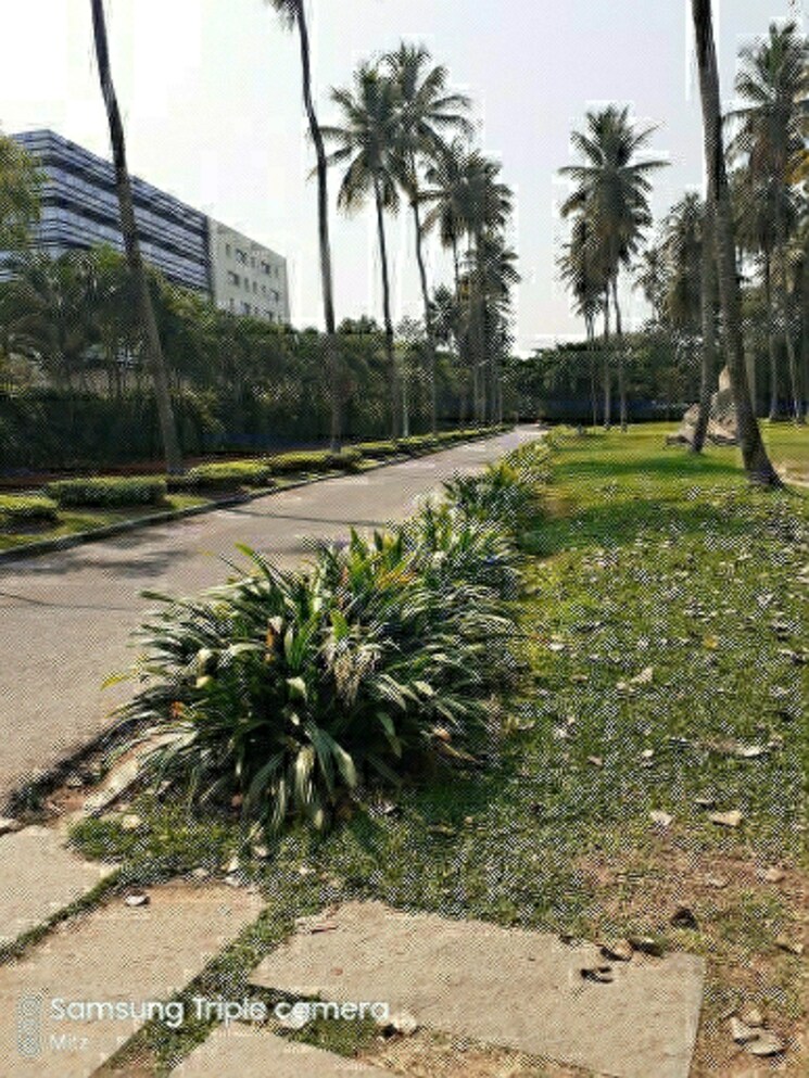 Garden, epsilon-villa-plot 5 Bedroom 9500 Sq.Ft. Villa In Yemalur Bangalore 8901426