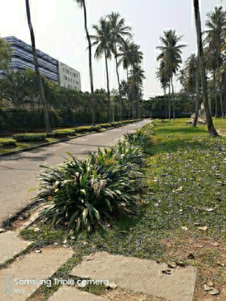 Other, epsilon-villa-plot 5 Bedroom 9500 Sq.Ft. Villa In Yemalur Bangalore 8901426