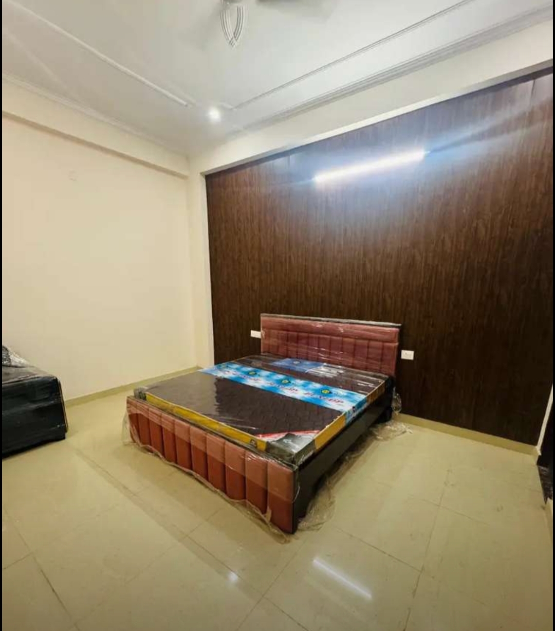3 BHK Apartment For Rent in The Mall Avenue