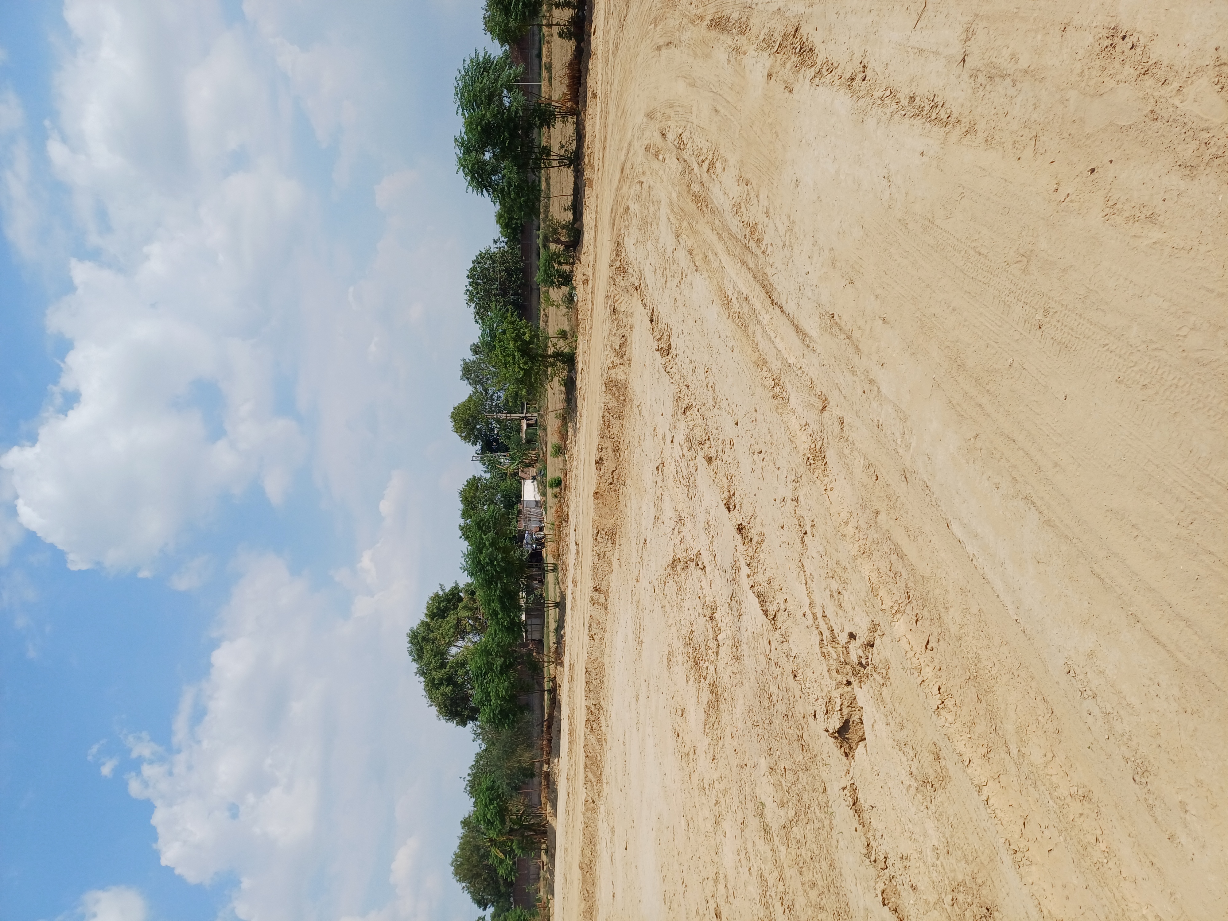 Plot For Sale in Shri Ram Property 