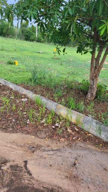  Plot – Exterior View View at Maheshwaram - for Sale