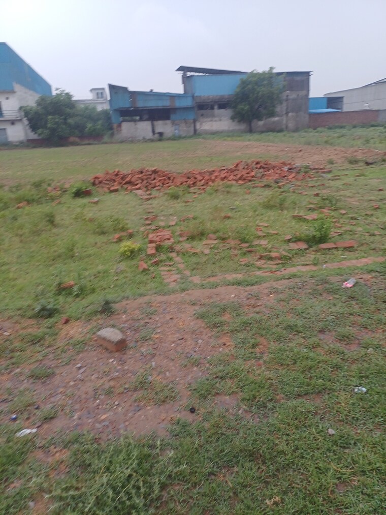 Garden, jajru  64 Sq.Yd. Plot In Jajru Faridabad 8901760