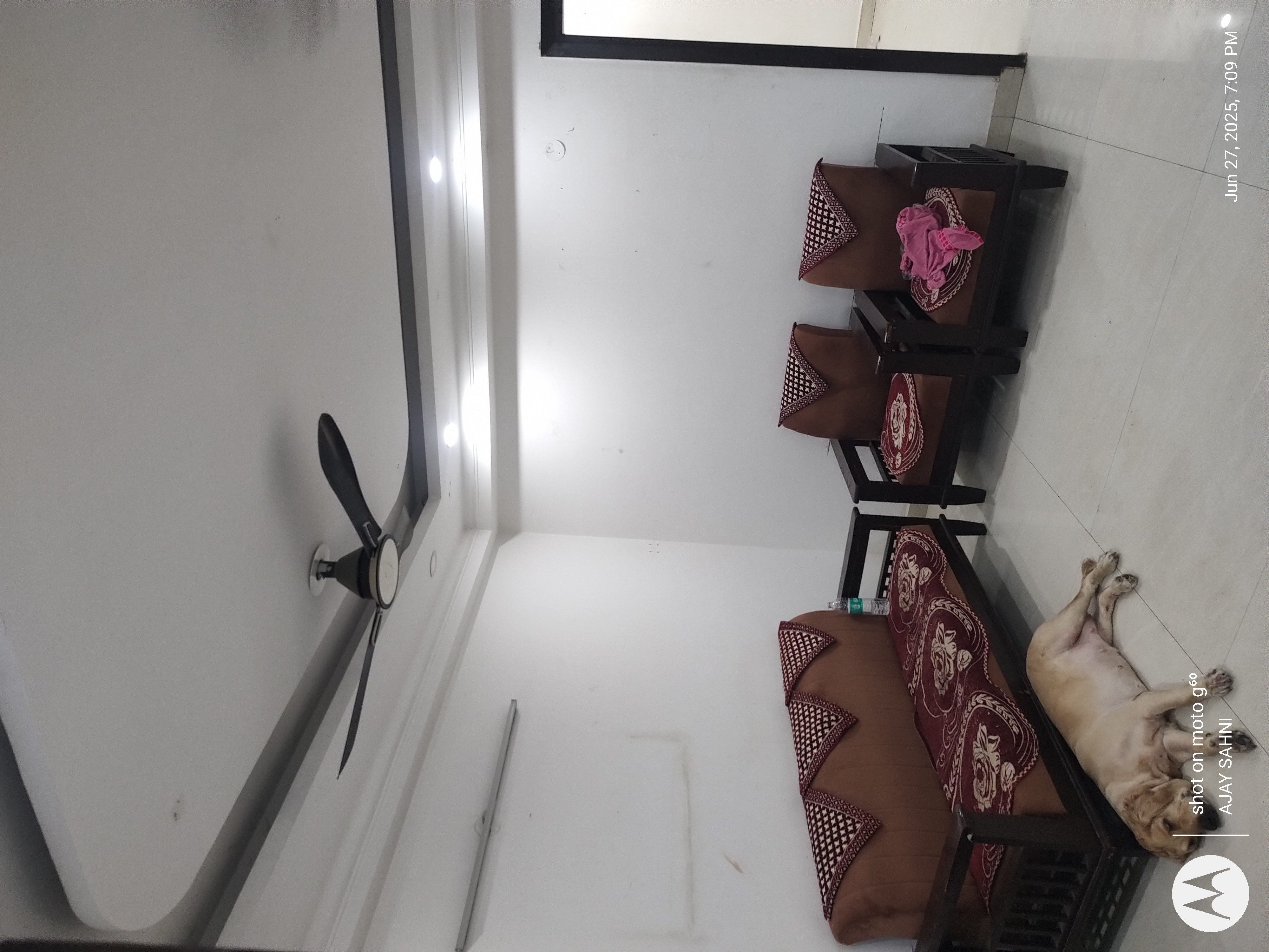 2 BHK + Study Room Builder Floor For Rent in Mehrauli