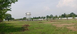  Plot For Sale in Shankarpalli
