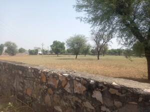  Plot For Sale in Adarsh Nagar