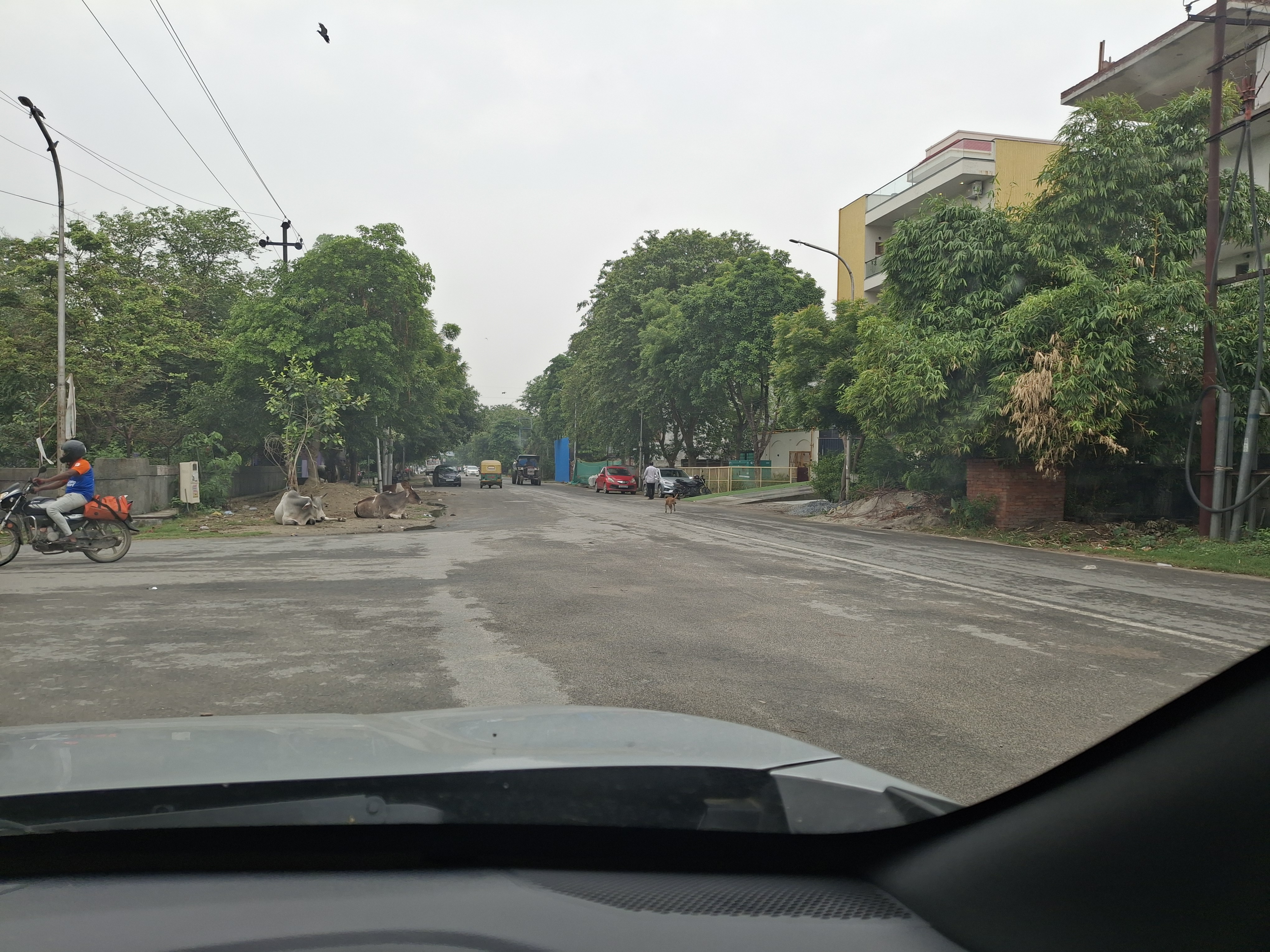 Plot For Sale in Sector 55