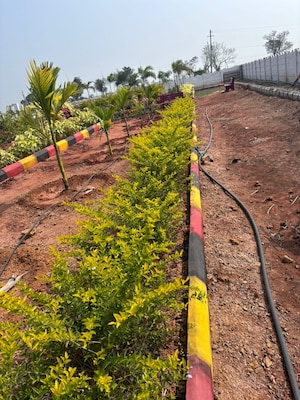  Plot – Exterior View View at Kankipadu - for Sale