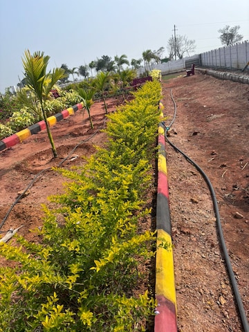  Plot – Exterior View View at Kankipadu - for Sale