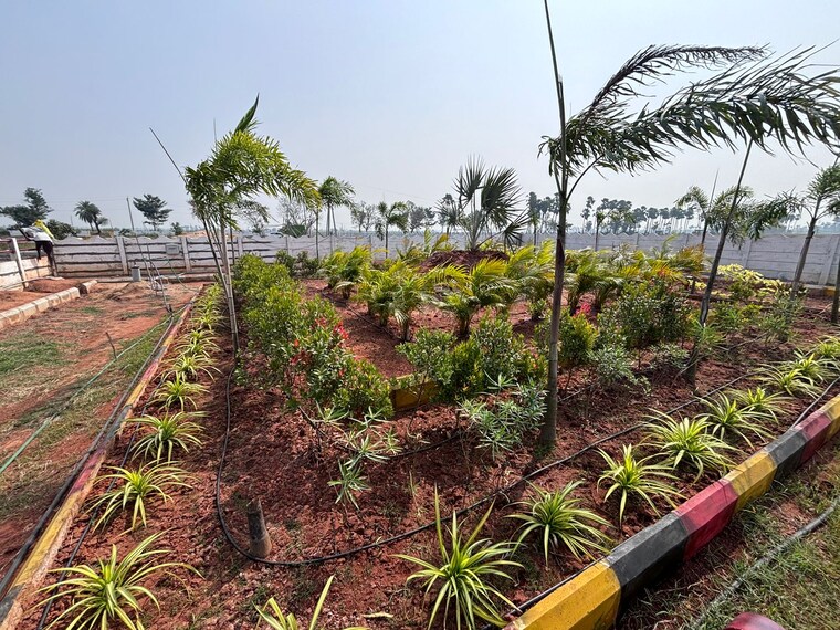 Exterior View, kankipadu  165 Sq.Yd. Plot In Kankipadu Vijayawada 8902477