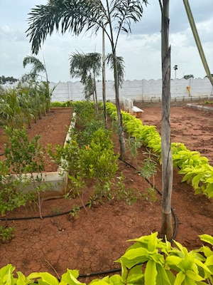  Plot – Exterior View View at Kankipadu - for Sale