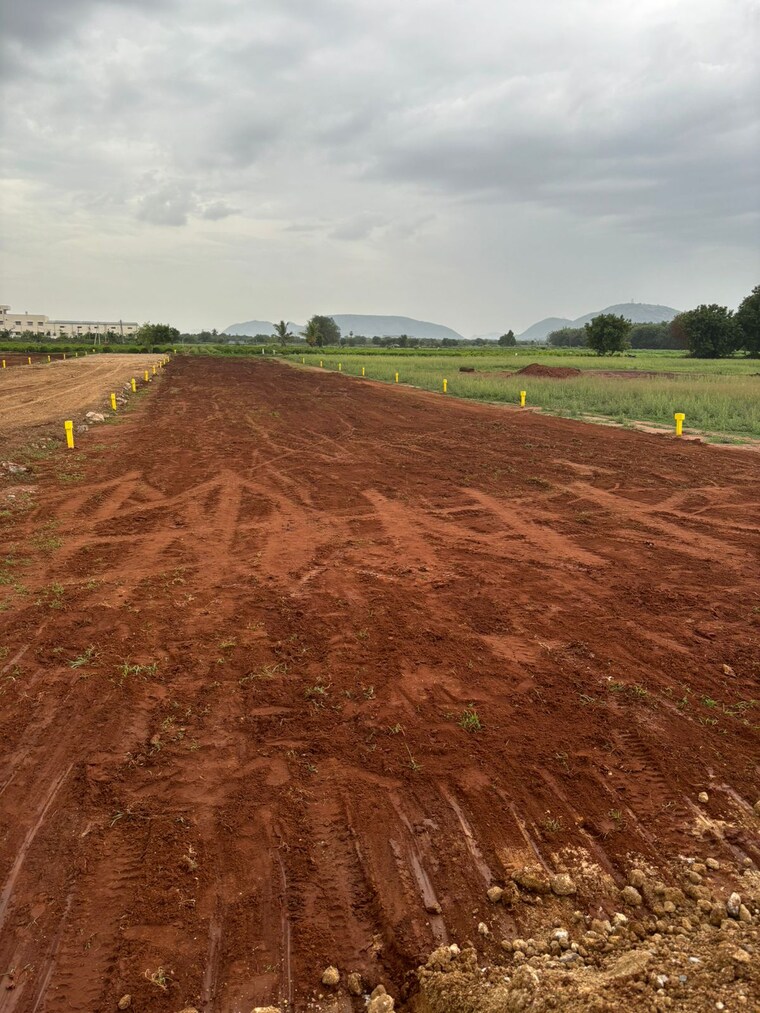 undefined, mangalagiri  252 Sq.Yd. Plot In Mangalagiri Vijayawada 8902514