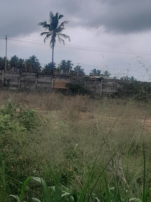 Industrial Plot For Sale in Harohalli