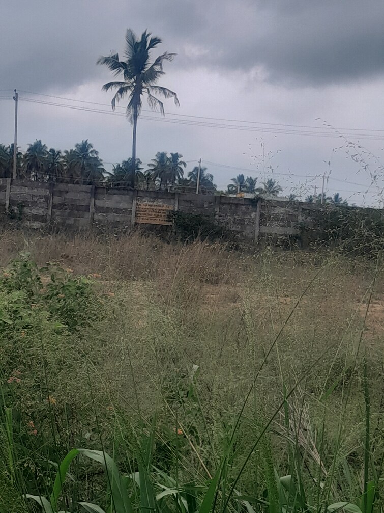 Cover Image, harohalli Commercial Industrial Plot 1 Acre In Harohalli Bangalore 8902517