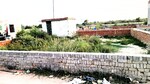 1350 Sq.Ft. Plot in Capital City 