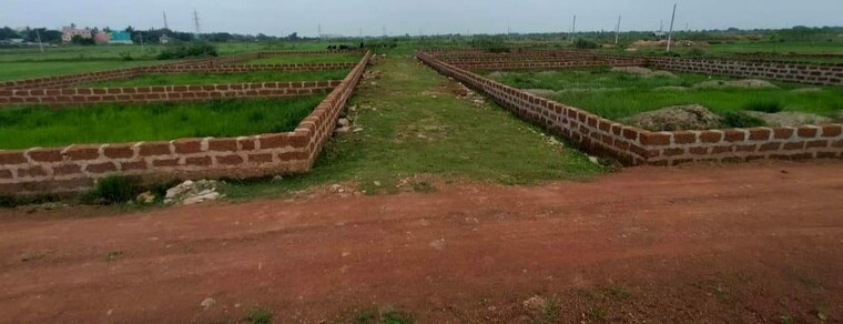 undefined, patrapada  1260 Sq.Ft. Plot In Patrapada Bhubaneswar 8902835