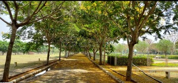  Plot For Sale in PC Park Lane, Devanahalli Road