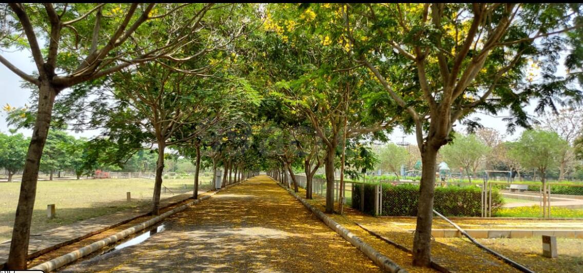 Plot For Sale in PC Park Lane