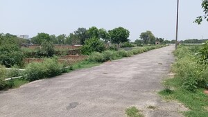  Plot For Sale in Lotus Parkk, Surajpur