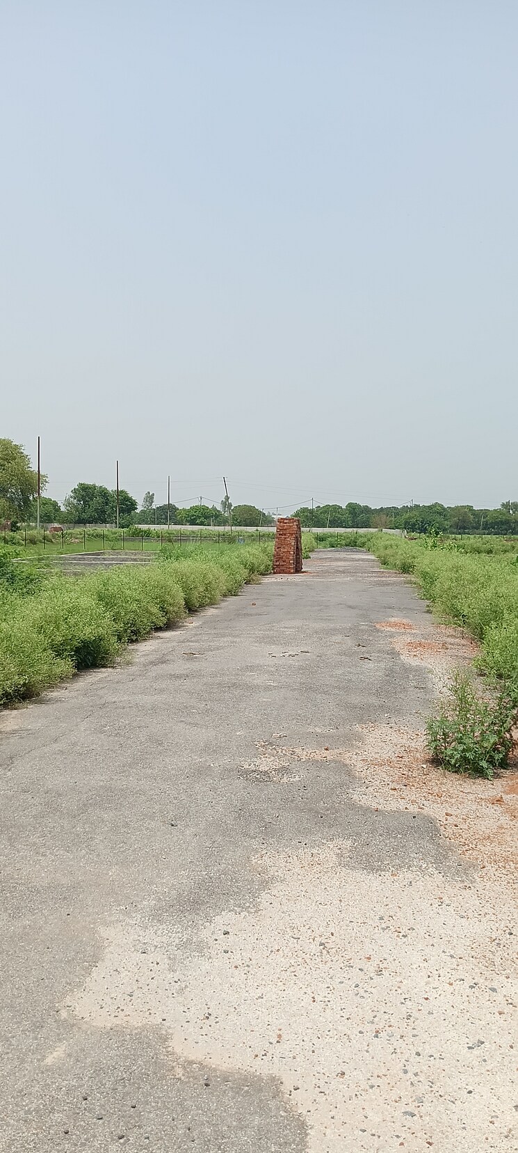undefined, lotus-parkk  80 Sq.Yd. Plot In Surajpur Greater Noida 8902843