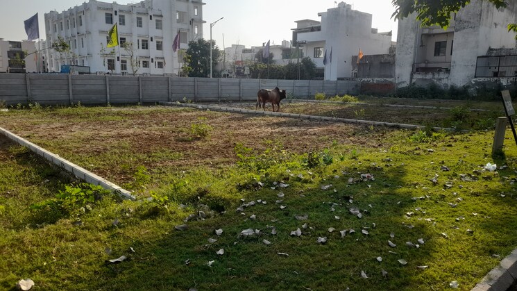 undefined, mansha-orchid  200 Sq.Yd. Plot In Sector 110 Faridabad 8902896