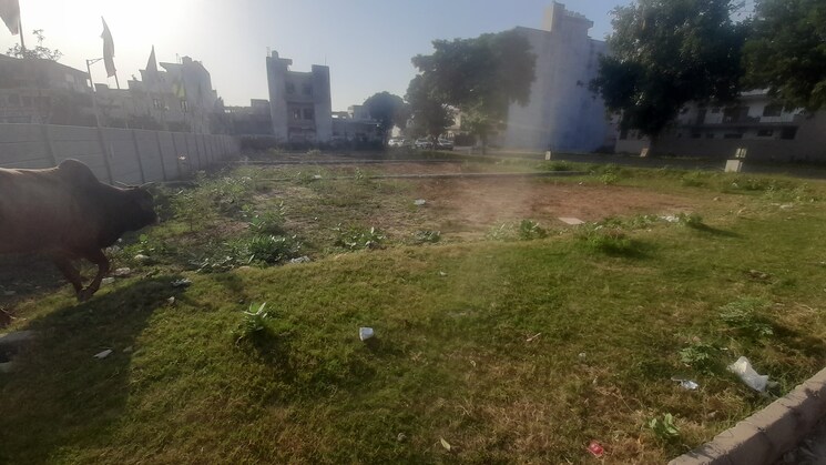 undefined, mansha-orchid  200 Sq.Yd. Plot In Sector 110 Faridabad 8902896