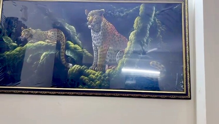 Swimming Pool, mehrauli 2 Bedroom 900 Sq.Ft. Builder Floor In Mehrauli Delhi 8902996