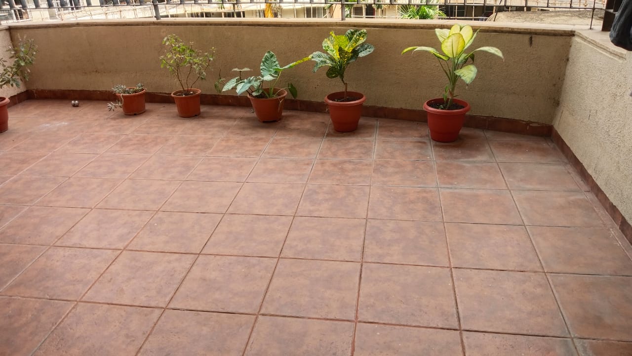 2 BHK Apartment For Rent in Park Street