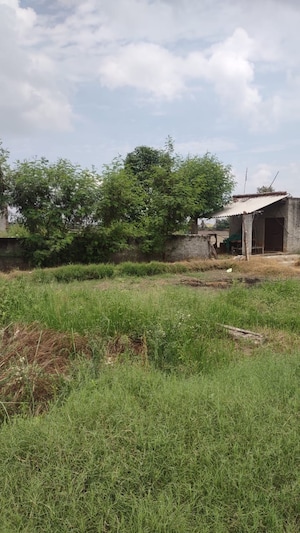 Plot Area in  Plot at Knowledge Park V Greater Noida – for Sale