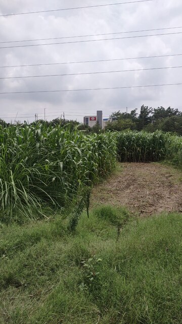 Plot Area in  Plot at Knowledge Park V Greater Noida – for Sale