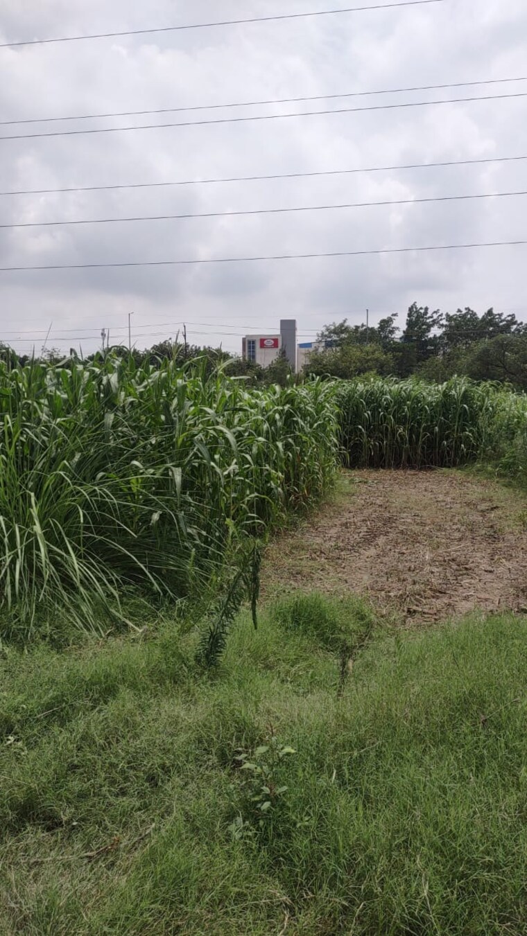 undefined, knowledge park v greater noida  130 Sq.Yd. Plot In Knowledge Park V Greater Noida Greater Noida 8903395