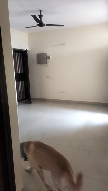 Room in 2.5 BHK Apartment at SRS Royal Hills, Sector 87 – for Rent