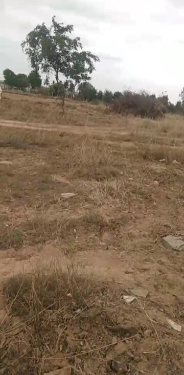 Plot Area in  Land at KolaR-Srinivaspur Road – for Sale