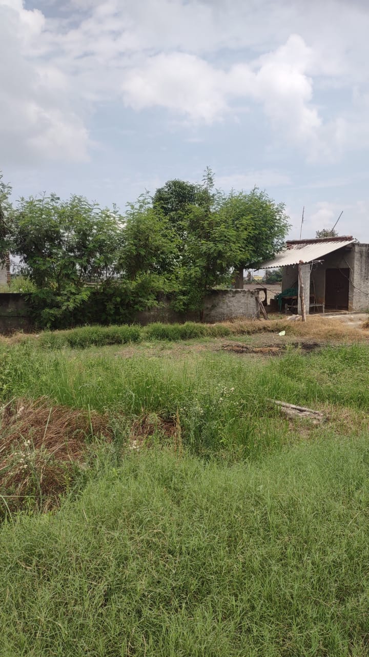 Plot For Sale in Knowledge Park 5 Opposite