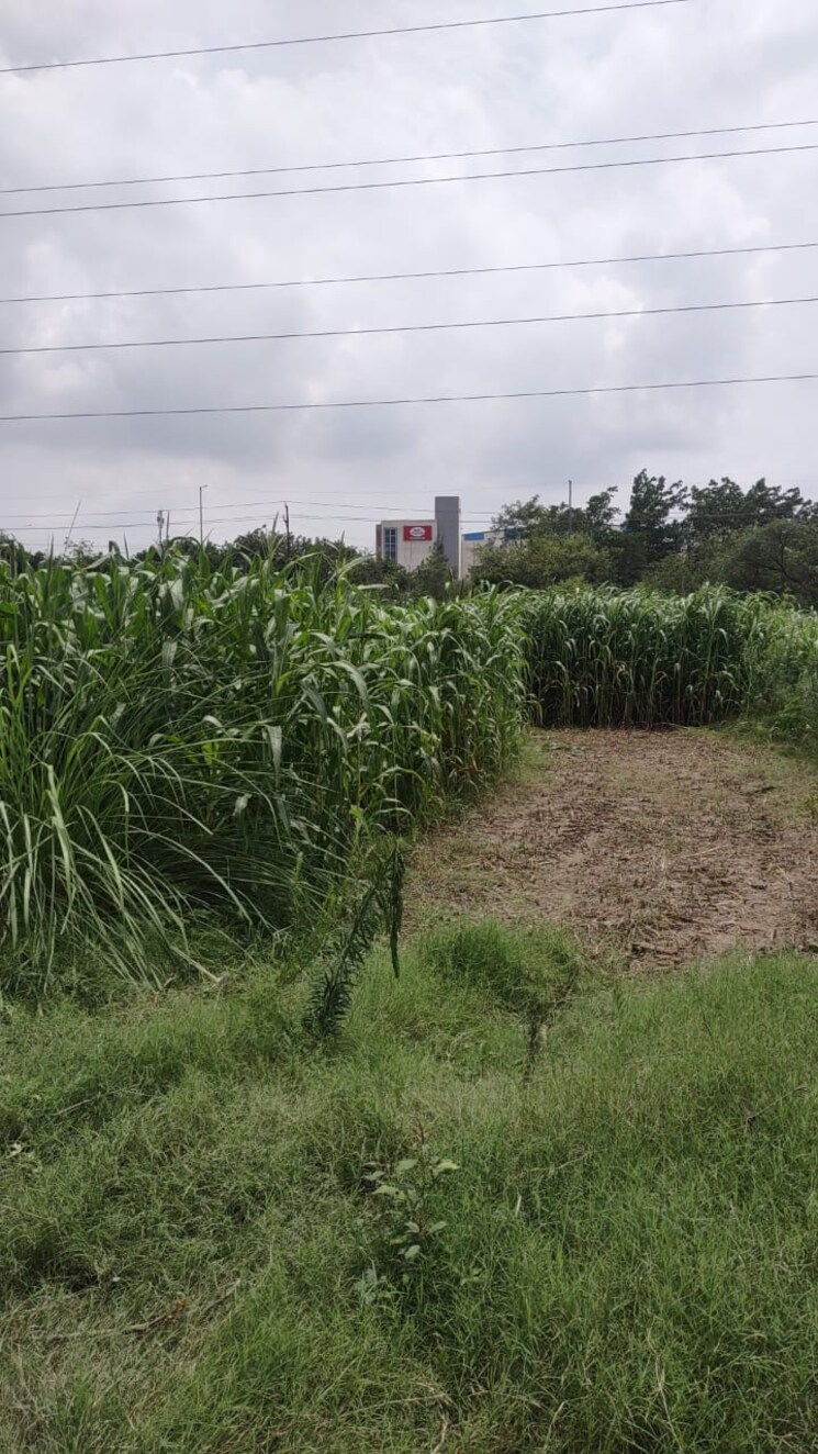 undefined, knowledge park v greater noida  100 Sq.Yd. Plot In Knowledge Park V Greater Noida Greater Noida 8903599