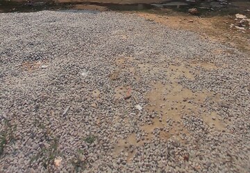  Plot For Sale in Ghatkesar