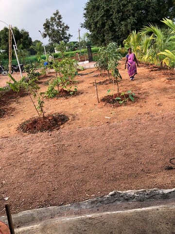 Plot Area in  Plot at Shamshabad – for Sale