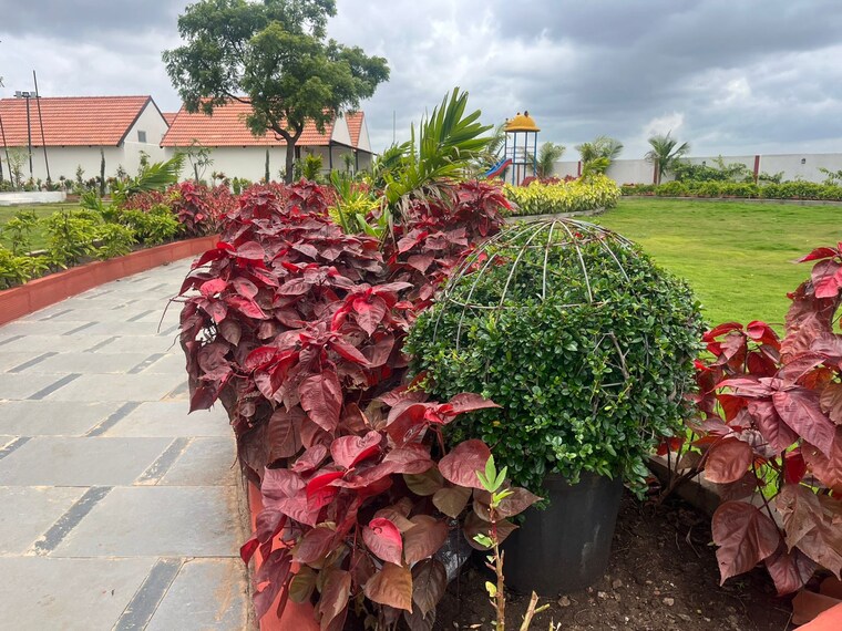 Garden, chevalla  150 Sq.Yd. Plot In Chevalla Hyderabad 8904017