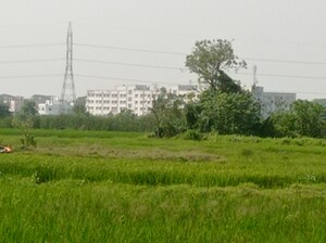  Plot – Exterior View View at Sonarpur - for Sale