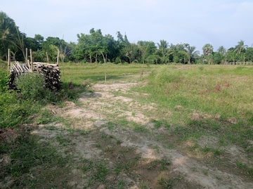 Plot For Sale in Sonarpur
