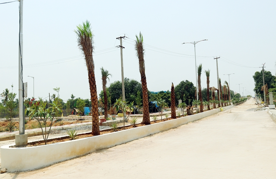 Plot For Sale in Shadnagar