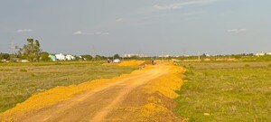 Plot Area in  Plot at Patrapada – for Sale