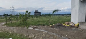 Plot Area in  Plot at Sherpur – for Sale